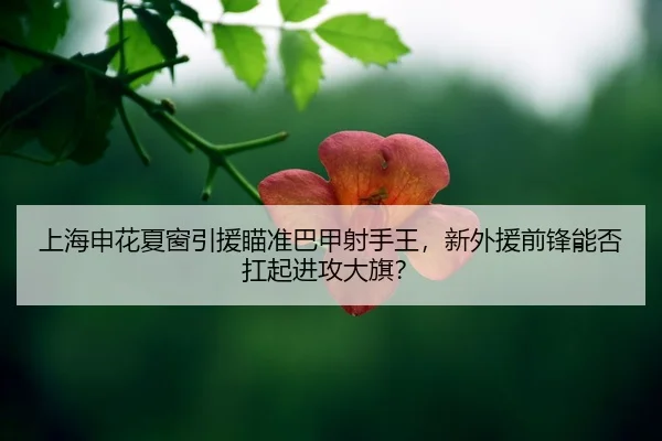 shang-hai-shen-hua-xia-chuang-yin-yuan-miao-zhun-ba-jia-she-shou-wang-xin-wai-yuan-qian-feng-neng-fou-kang-qi-jin-gong-2-956.jpg