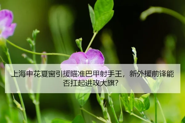 shang-hai-shen-hua-xia-chuang-yin-yuan-miao-zhun-ba-jia-she-shou-wang-xin-wai-yuan-qian-feng-neng-fou-kang-qi-jin-gong-3-354.jpg