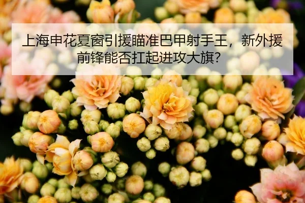 上海申花夏窗引援瞄准巴甲射手王，新外援前锋能否扛起进攻大旗？