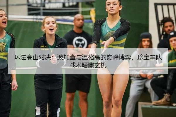 环法高山对决：波加查与温格高的巅峰博弈，珍宝车队战术暗藏玄机