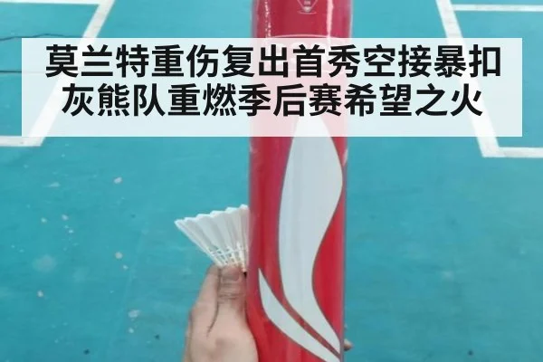 莫兰特重伤复出首秀空接暴扣灰熊队重燃季后赛希望之火