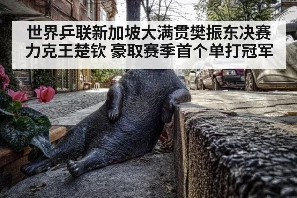 世界乒联新加坡大满贯樊振东决赛力克王楚钦 豪取赛季首个单打冠军