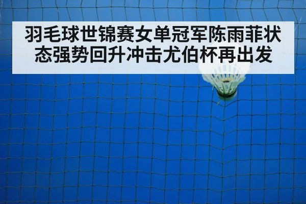 badminton training court
